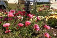 Tuskar Holiday Park
