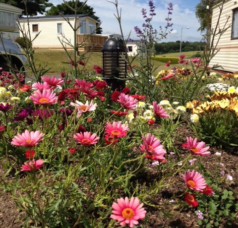 Tuskar Holiday Park