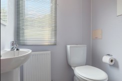 rio-gold-toilet